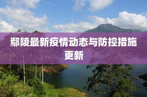 鄢陵最新疫情动态与防控措施更新