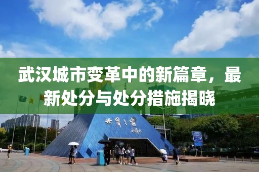 武汉城市变革中的新篇章，最新处分与处分措施揭晓