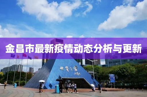 金昌市最新疫情动态分析与更新