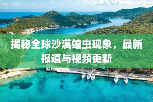 揭秘全球沙漠蝗虫现象，最新报道与视频更新