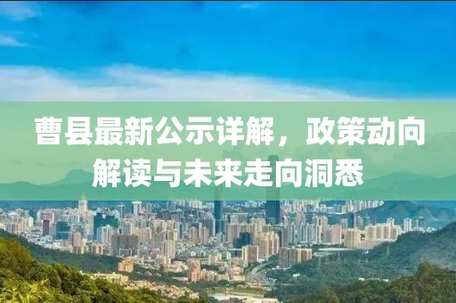曹县最新公示详解，政策动向解读与未来走向洞悉