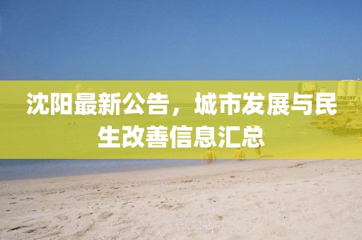 沈阳最新公告，城市发展与民生改善信息汇总