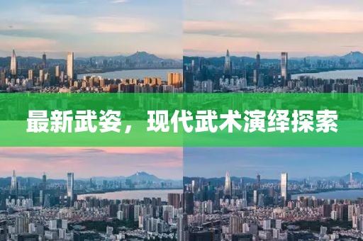 最新武姿，现代武术演绎探索