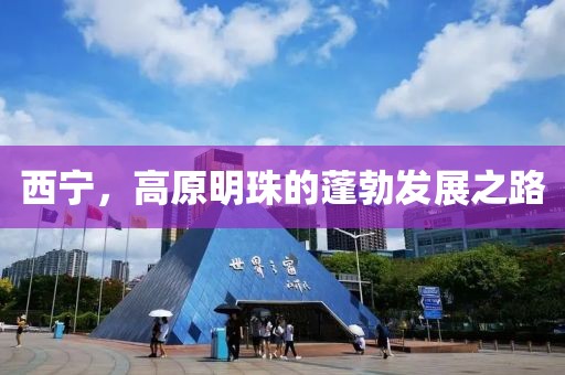 西宁，高原明珠的蓬勃发展之路