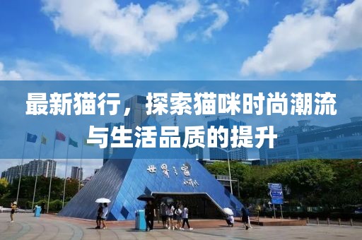 最新猫行，探索猫咪时尚潮流与生活品质的提升
