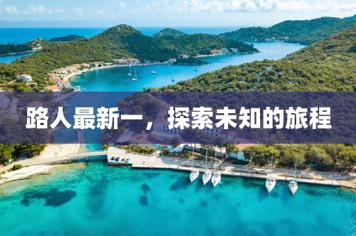 路人最新一，探索未知的旅程