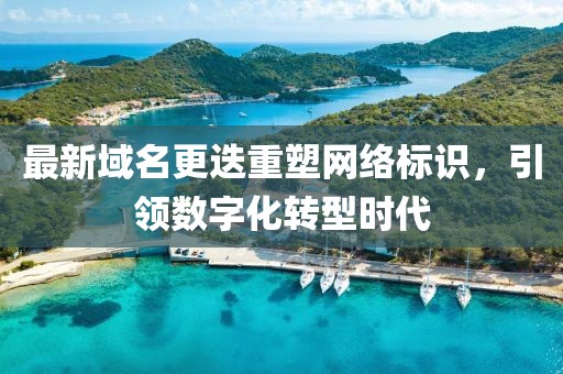 最新域名更迭重塑网络标识，引领数字化转型时代