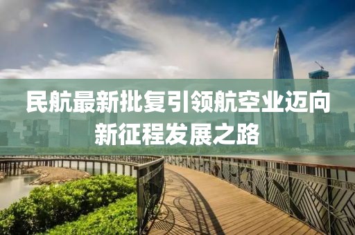 民航最新批复引领航空业迈向新征程发展之路