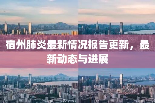 宿州肺炎最新情况报告更新，最新动态与进展
