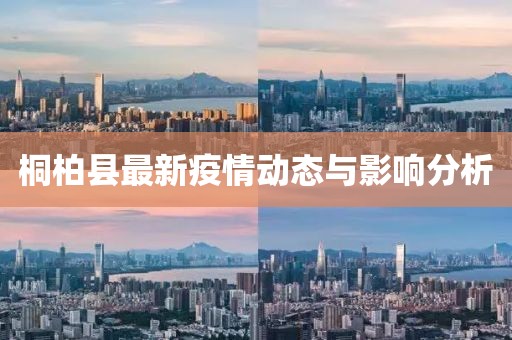 桐柏县最新疫情动态与影响分析