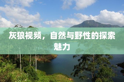 灰狼视频，自然与野性的探索魅力