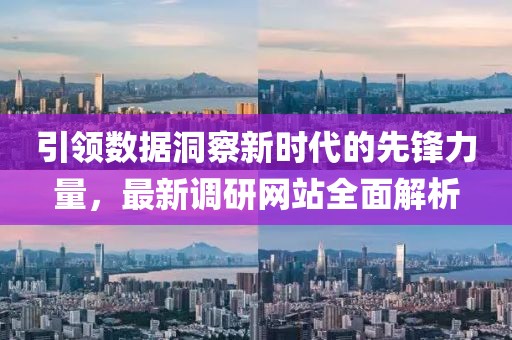 引领数据洞察新时代的先锋力量，最新调研网站全面解析