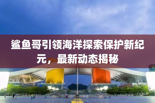 鲨鱼哥引领海洋探索保护新纪元，最新动态揭秘