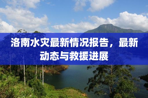 洛南水灾最新情况报告，最新动态与救援进展