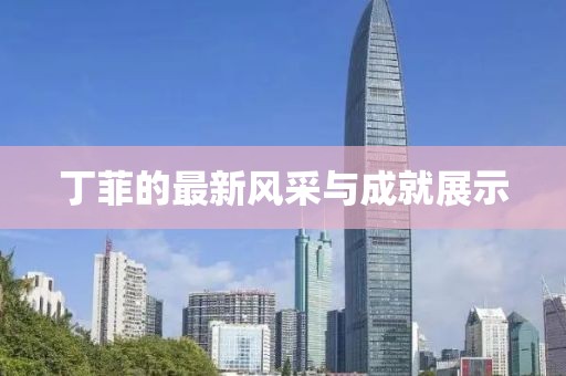 丁菲的最新风采与成就展示
