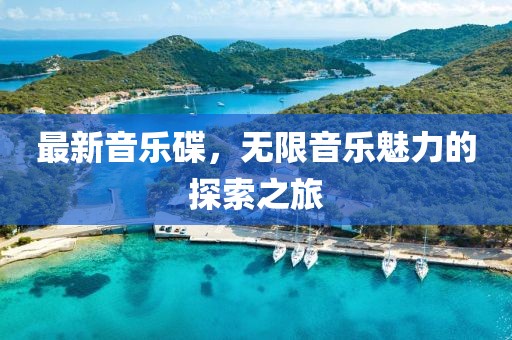 最新音乐碟，无限音乐魅力的探索之旅