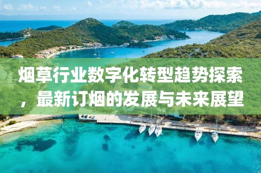 烟草行业数字化转型趋势探索，最新订烟的发展与未来展望