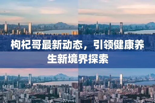 枸杞哥最新动态，引领健康养生新境界探索