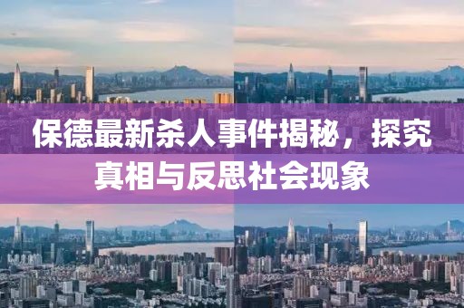 保德最新杀人事件揭秘，探究真相与反思社会现象