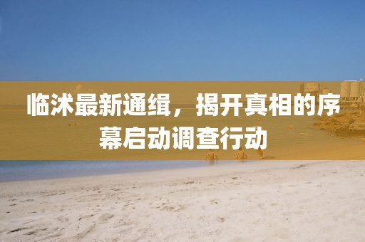 临沭最新通缉，揭开真相的序幕启动调查行动