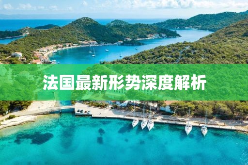 法国最新形势深度解析