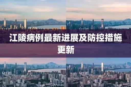江陵病例最新进展及防控措施更新