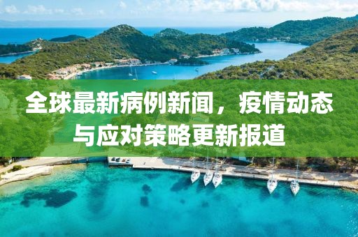 全球最新病例新闻，疫情动态与应对策略更新报道