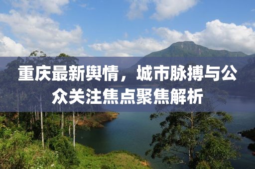 重庆最新舆情，城市脉搏与公众关注焦点聚焦解析