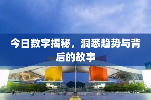 今日数字揭秘，洞悉趋势与背后的故事