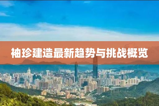 袖珍建造最新趋势与挑战概览