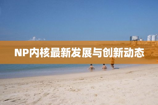 NP内核最新发展与创新动态