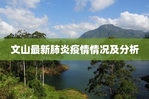 文山最新肺炎疫情情况及分析