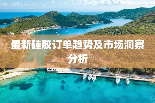 最新硅胶订单趋势及市场洞察分析