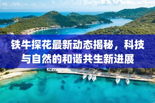 铁牛探花最新动态揭秘，科技与自然的和谐共生新进展