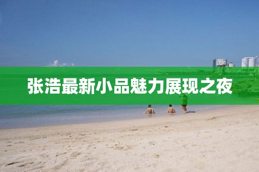 张浩最新小品魅力展现之夜
