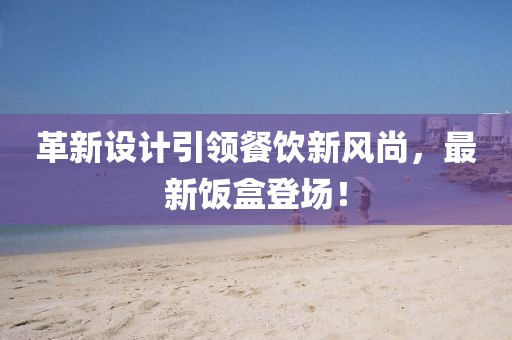 革新设计引领餐饮新风尚，最新饭盒登场！
