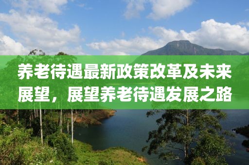 养老待遇最新政策改革及未来展望，展望养老待遇发展之路