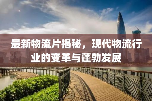 最新物流片揭秘，现代物流行业的变革与蓬勃发展