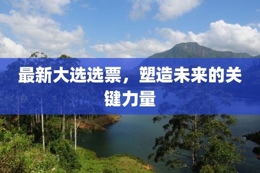 最新大选选票，塑造未来的关键力量