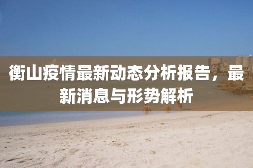 衡山疫情最新动态分析报告，最新消息与形势解析