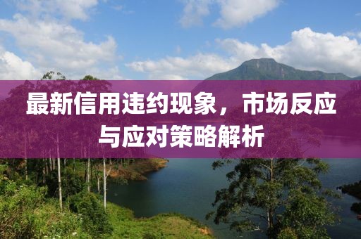 最新信用违约现象，市场反应与应对策略解析