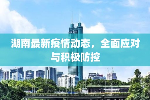 湖南最新疫情动态，全面应对与积极防控