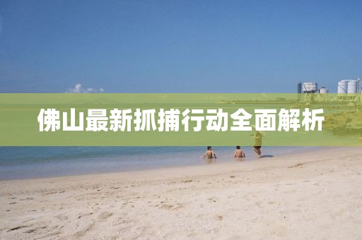 佛山最新抓捕行动全面解析