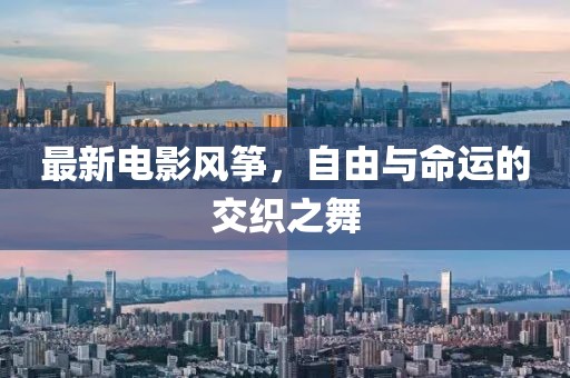 最新电影风筝，自由与命运的交织之舞