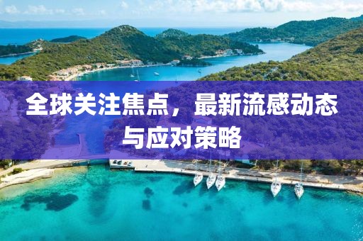全球关注焦点，最新流感动态与应对策略