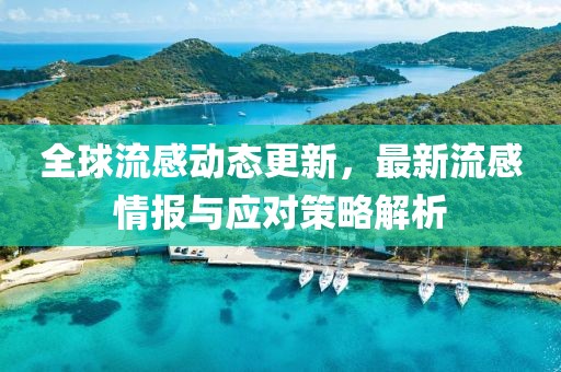 全球流感动态更新，最新流感情报与应对策略解析