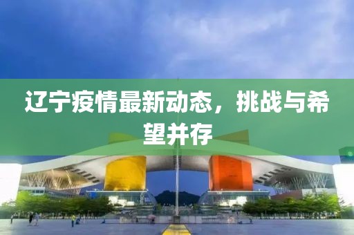 辽宁疫情最新动态，挑战与希望并存