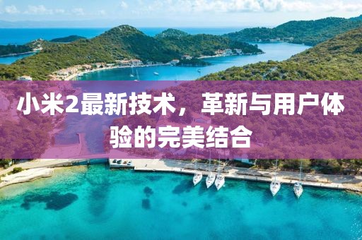 小米2最新技术，革新与用户体验的完美结合