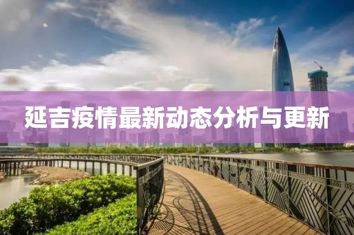 延吉疫情最新动态分析与更新