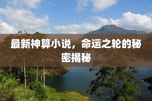 最新神算小说，命运之轮的秘密揭秘